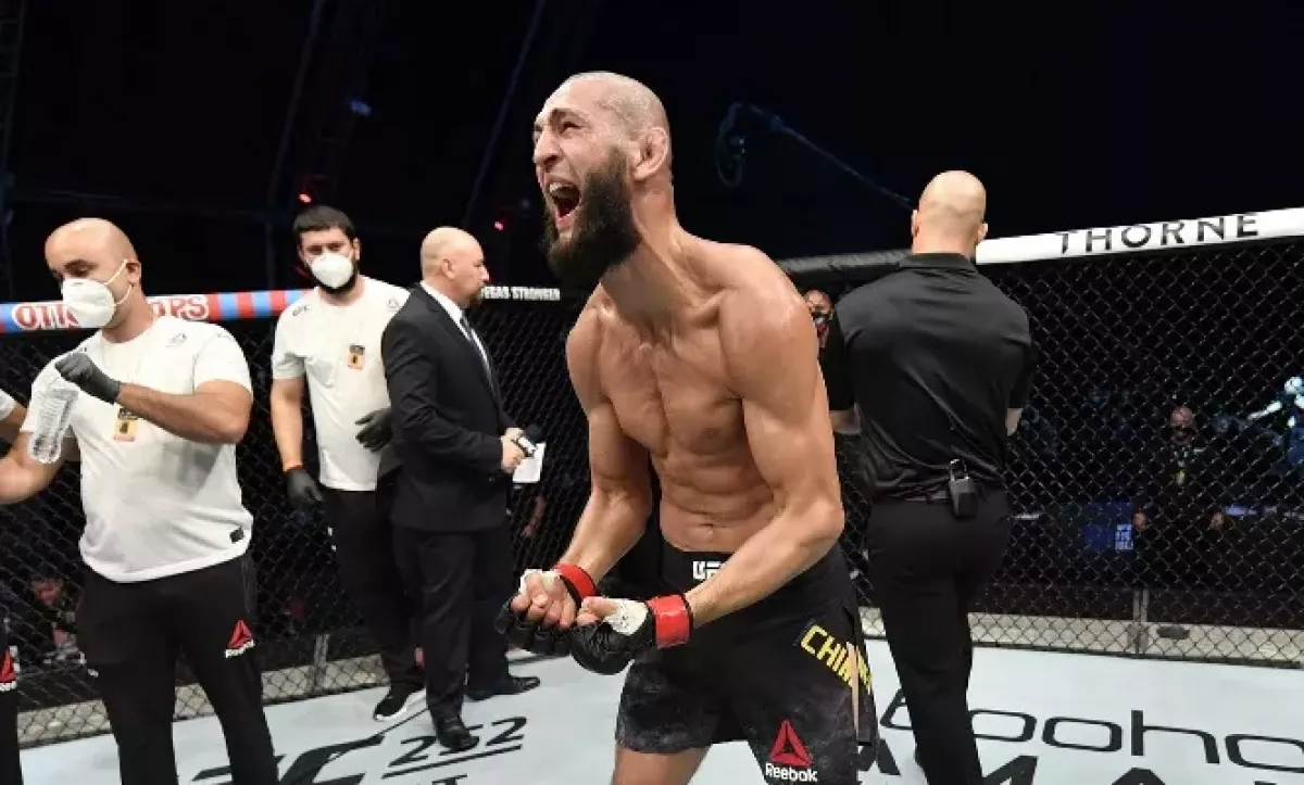 Alex Gustafsson: Chimaev by knokautoval Usmana!