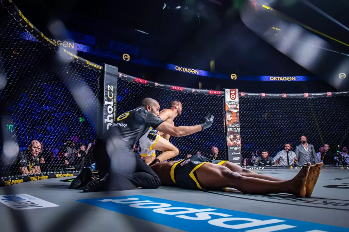 Knockout roku? Polský pavouk šokoval Liberec, v kleci sestřelil francouzského favorita