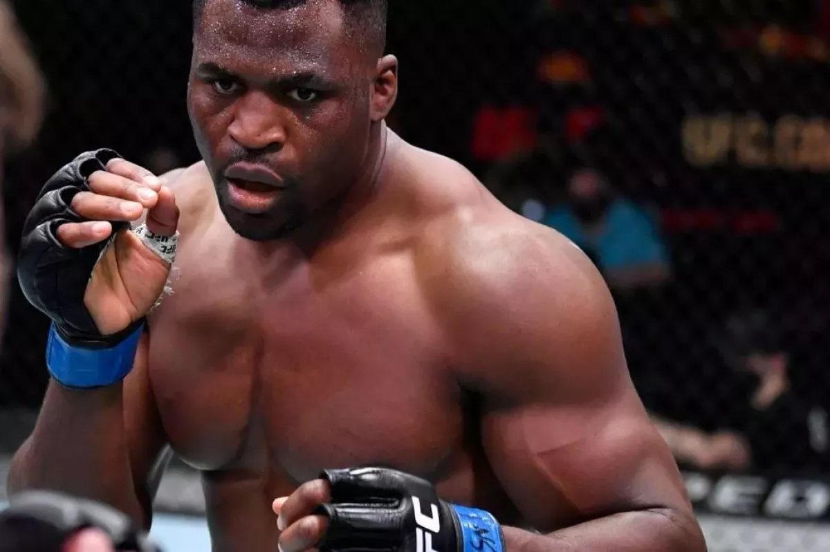 Vtrhnou hvězdy UFC do špičky profi boxu? Mluví se i o bitvách s Joshuou a Canelem