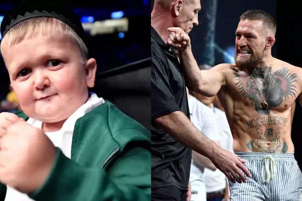 Conor McGregor se ostře pustil do oblíbeného "mrzáka" Hasbully